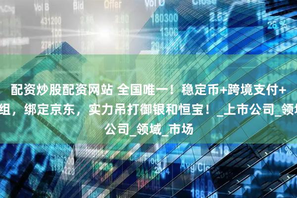 配资炒股配资网站 全国唯一！稳定币+跨境支付+并购重组，绑定京东，实力吊打御银和恒宝！_上市公司_领域_市场